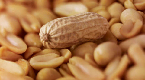 Yer fıstığının sağlığa iyi gelen muhteşem faydaları!