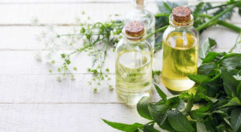 Nane yağı nedir? Nasıl kullanılır?