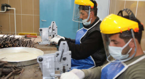 Meşhur yaprağa yoğun ilgi! Talebe zor yetişiyorlar