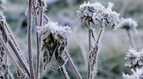 Bursa Valiliği'nden uyarı: Pazar gününe kadar sürecek!