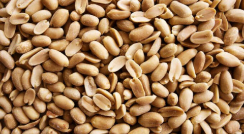 Şifa deposu: Yer fıstıığının bilinmeyen faydaları!