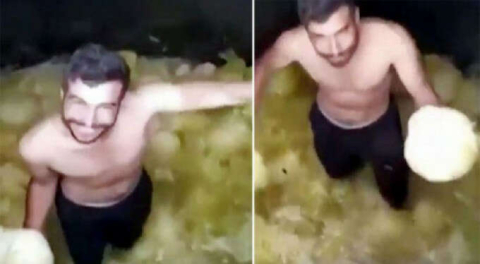 Turşu skandalında yeni gelişme! Tesis kapatıldı, şahıs gözaltına alındı...