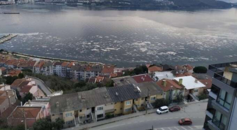 Bursa'da tedirgin eden görüntü! Körfez renk değiştirdi...