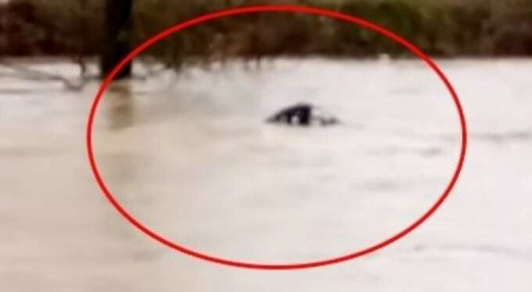 Bursa'da azgın sulara kapıldı! Akıbeti belli değil...