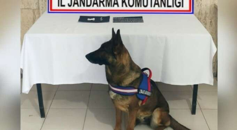 Bursa'dan Afyonkarahisar'a götürüyorlardı! 'Kolçak'tan çıktı