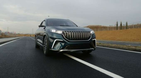 'Türkiye, Tesla ve Volkswagen'e meydan okuyor'