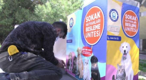 Yıldırım'ın sokaklarında aç hayvan kalmayacak!