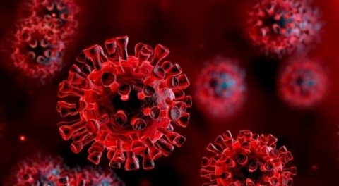 Yeni virüs bulundu: Önce felç ediyor sonra öldürüyor