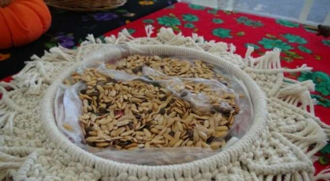 Bursa'da Tohum Takas Şenliği'nde 15 bin yerli tohum dağıtıldı