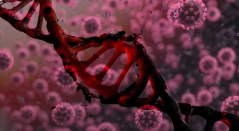 İngiliz mutasyonu korkulduğu kadar şiddetli değil!