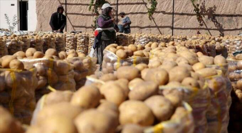 Bursa vekili çiftçiye ses oldu: Borçları uzun vadeli yapılandırılmalı!