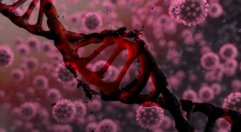 Mutasyona uğradı: Salgın daha şiddetli hale gelebilir