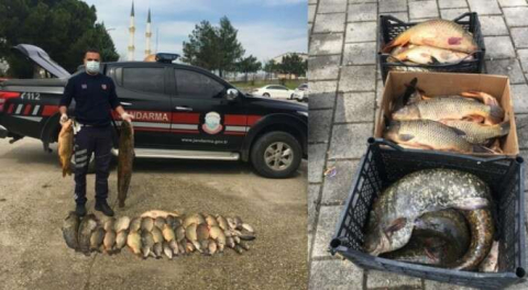 Yasak tanımadılar! Bursa'da kaçak avcılara ceza!