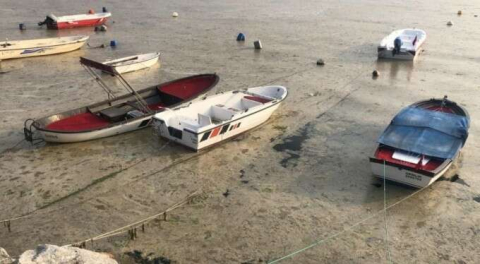 Gemlik sahilinde şaşkına çeviren manzara! Görenler telefona sarıldı