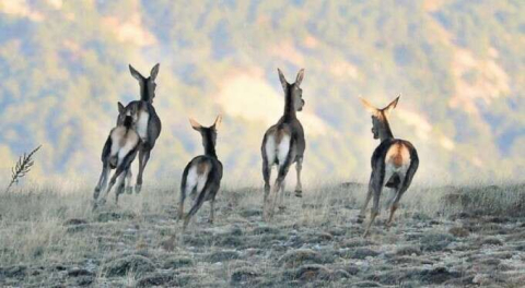 Köylüler isyanda! Bu cennete kıyılmasın