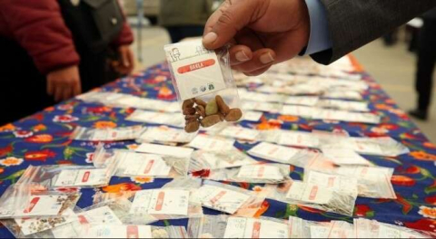 Nilüfer'de yerel tohum dağıtımı sürüyor!