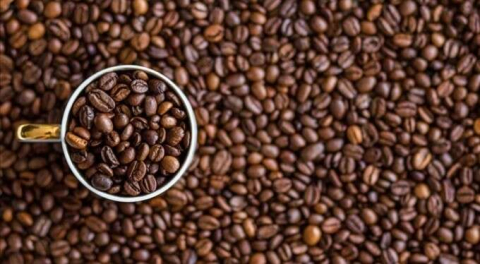 İklim değişikliğinden etkilenmeyecek eski bir kahve türü bulundu!