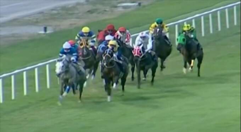 Adana'da yarışta attan düşüp yaralanan jokey yoğun bakımda!