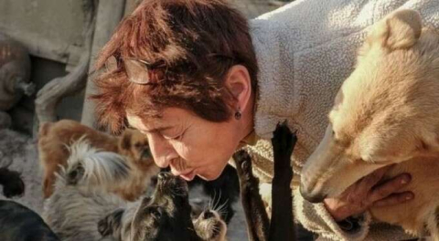 Tüm dünyaya örnek olsun! Tam 700 köpek...