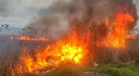 Bursa'da büyük yangın!  15 dönüm alan kül oldu