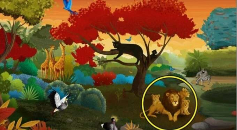 Hangi konuda sorun yaşadığınızı söyleyen görsel psikoloji testi!