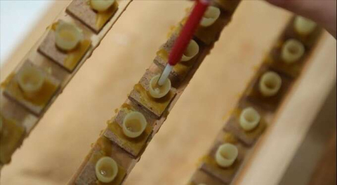 Arı sütü, poleni ve arı ekmeğinde katkı maddesi kullanılamayacak!