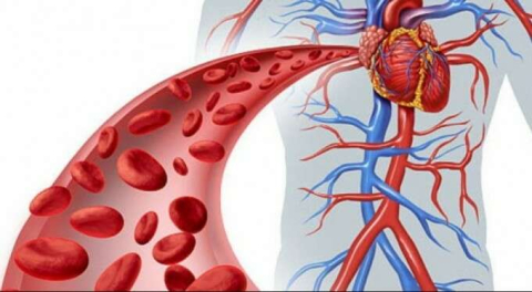 Atar damarları temizleyen en iyi 10 besin!
