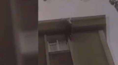 Yangında can pazarı... Panik yapıp çatıdan atladı