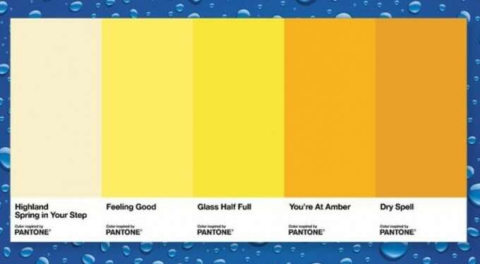 Yeterli su içiyor musunuz? Cevap için idrarınıza bakın!