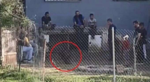 Ne maske ne mesafe...Bursa'da kısıtlamada horoz dövüşü!