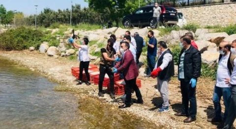 Bursa'da tedavileri tamamlanan hayvanlar doğaya salındı!