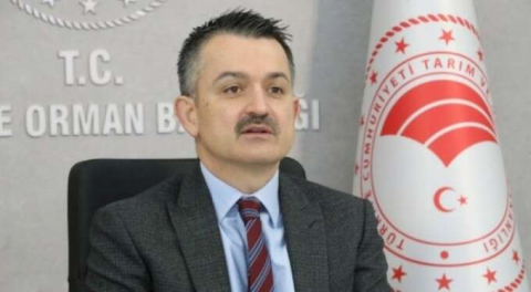 Bakan Pakdemirli'den fahiş fiyat mesajı: Yazın daha fazla düşecek!