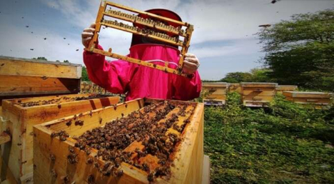 Bursa'da yok satıyor! Bağışıklığını güçlendirmek isteyen bu sütü alıyor!
