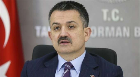 Yılda 5,5 milyon balon balığı için 5 milyon lira ödeme hedefleniyor!