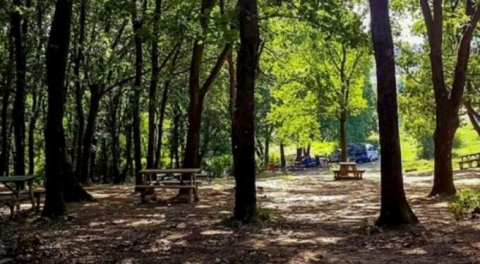 İstanbul'da C tipi mesire yeri işletme hakkı kiraya verilecek!