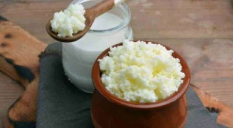 Sağlıklı bir bağışıklık sistemi için 'kefir ve kefirli yoğurt tüketin'
