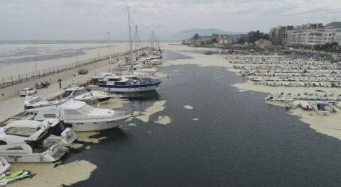 Gözler önüne serildi! Bursa sahillerini saran salya uydudan bile görüldü!