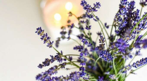 Rahatsız etmeden güzel koku veren 6 ev bitkisi!