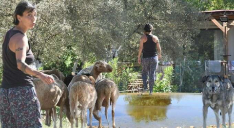 Bir dönemin rock yıldızıydı! Köy hayatına iyice alıştı