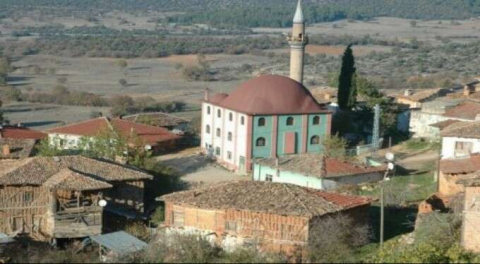 Bilecik Karaağaç köyünde 9821 m2 daire icradan satılık!