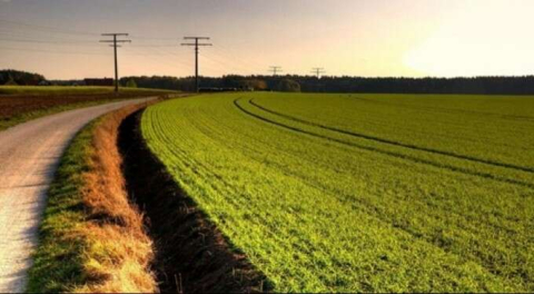 Yozgat Sorgun'da 22.250 m2 tarla satılık!