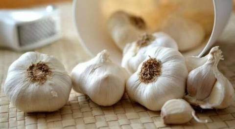 Şöhreti dilden dile dolaşıyor: Sarımsağın saça faydaları!