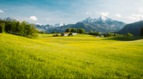 Bayburt Akşar Mahallesi'nde 298 m2 arsa icradan satılık!