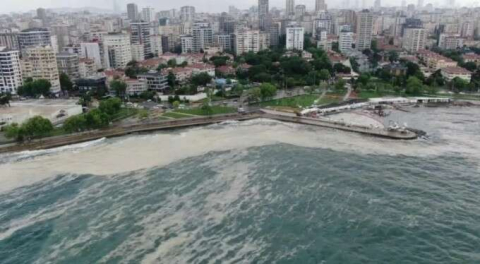 Alarm çanları çalıyor... Marmara'da bu kez 'ölümcül gaz' korkusu