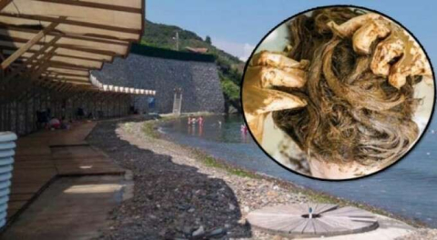 Bursa'da Kadınlar Plajı'ndan şaşkına çeviren uyarı: Saçınızı kınalayıp gelmeyin!