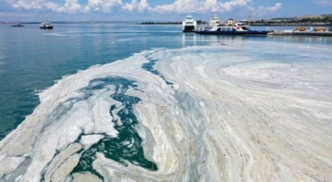 Bakan Kurum açıkladı! İşte Bursa'dan toplanan müsilaj miktarı