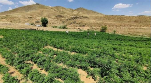 PKK'nın finans kaynağına büyük darbe!