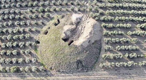 Vandallık pandemisi! Her açıdan büyük kayıplara yol açıyor