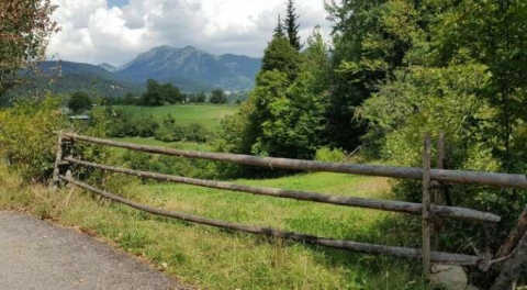 Bursa İnegöl'de 2409 m2 tarla satılık!