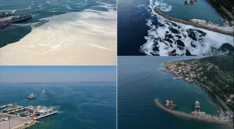 Bursa için yüzleri güldürecek haber! Yok denilecek kadar azaldı